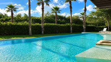 A clear blue swimming pool with palm trees and a hedge in the background.