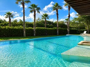 Ein klares, blaues Schwimmbecken mit Palmen und einem Hecken im Hintergrund.
