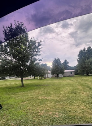 A grassy area with trees and a building in the distance.