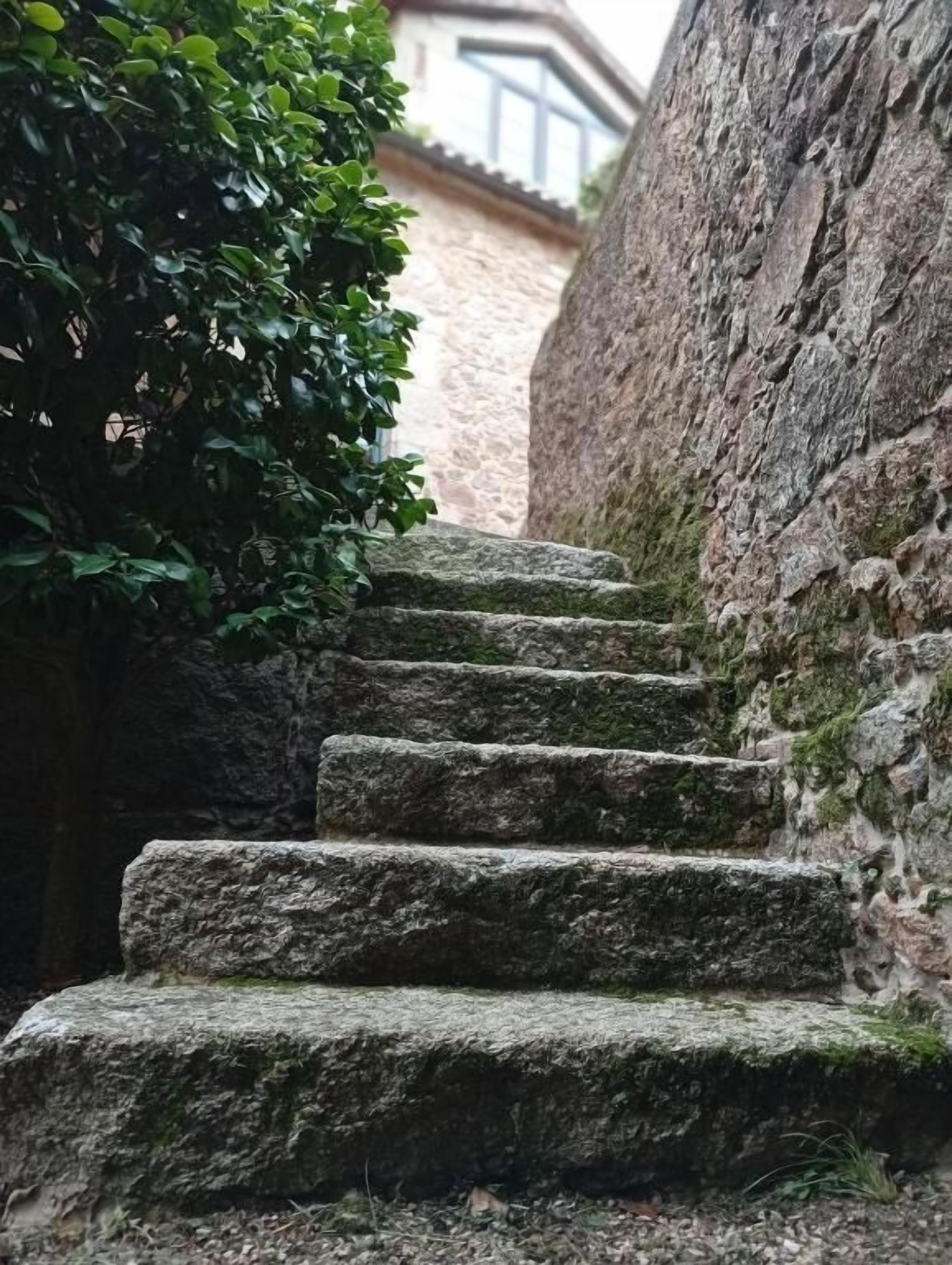 Un conjunt d'escales de pedra que s'eleven cap a un mur de pedra, envoltat de vegetació.