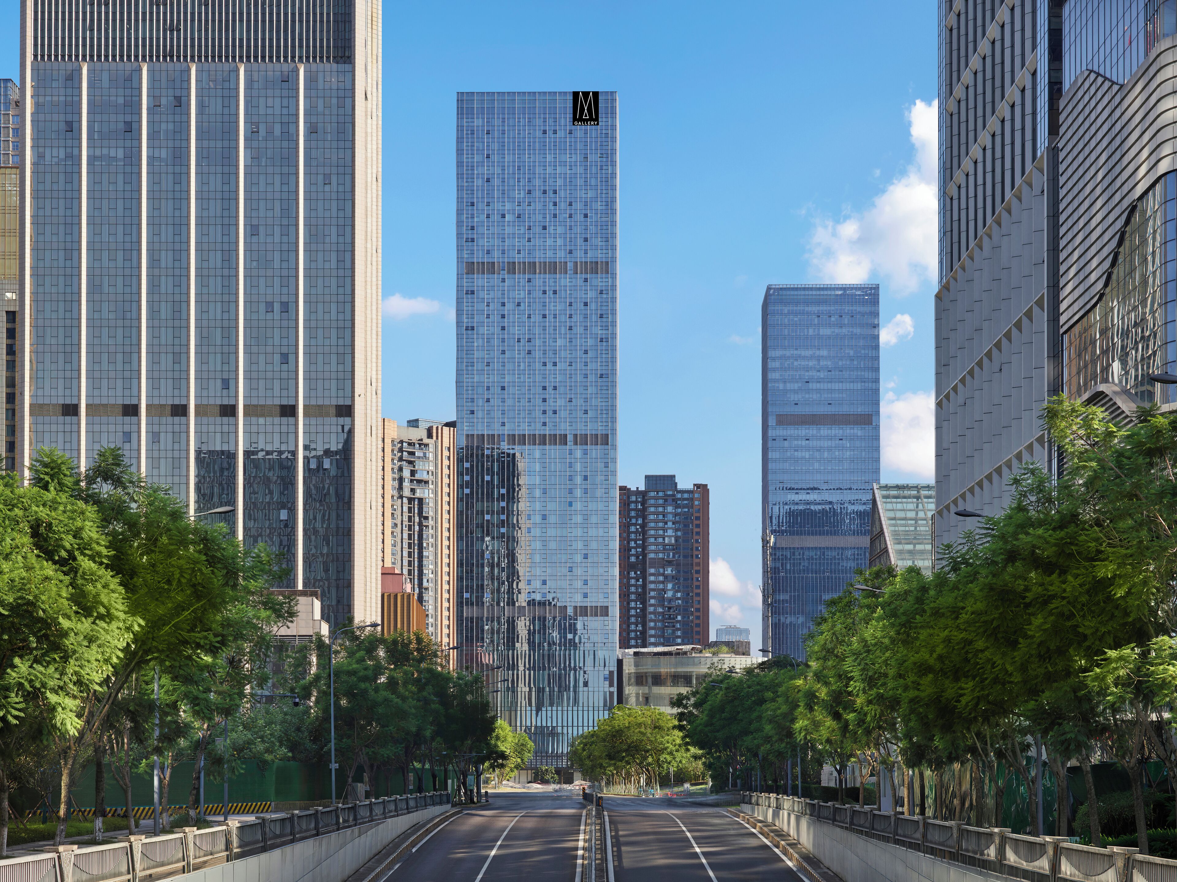 A city street lined with modern high-rise buildings, a clear sky, and trees along the sidewalk.