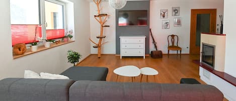 TV, fireplace