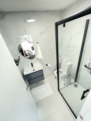 Une salle de bain moderne avec une douche à parois de verre, un lavabo blanc avec un miroir et des toilettes.