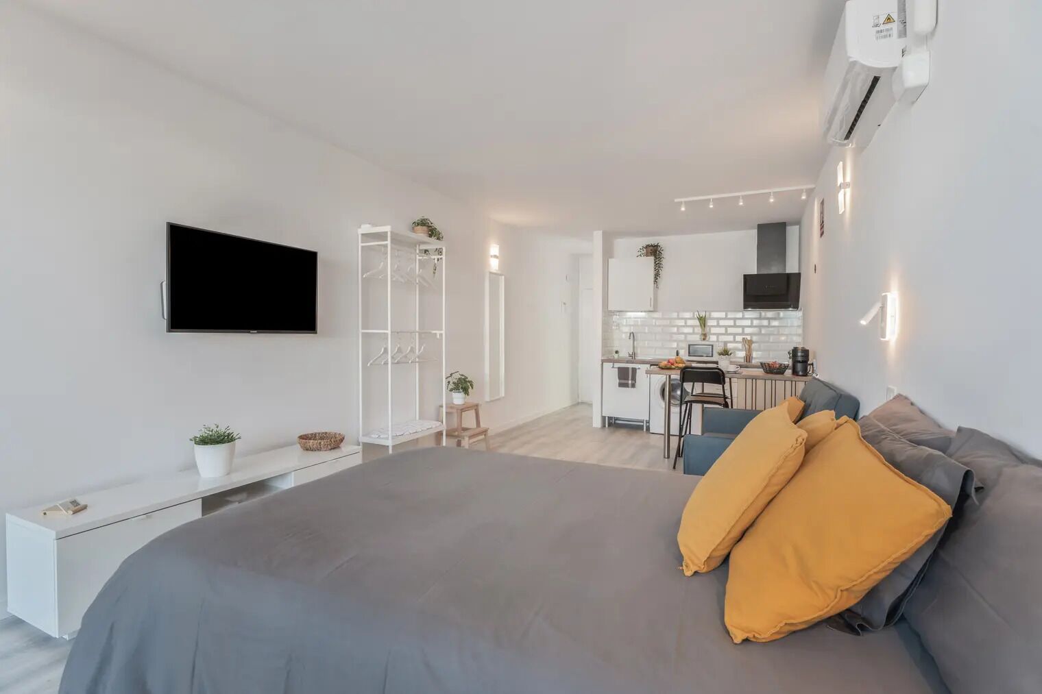 A modern bedroom with a large bed, a TV, a bedside table, and a small bedside plant.