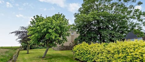 A grassy area with a stone wall, a hedge, and a building with a sloped roof.