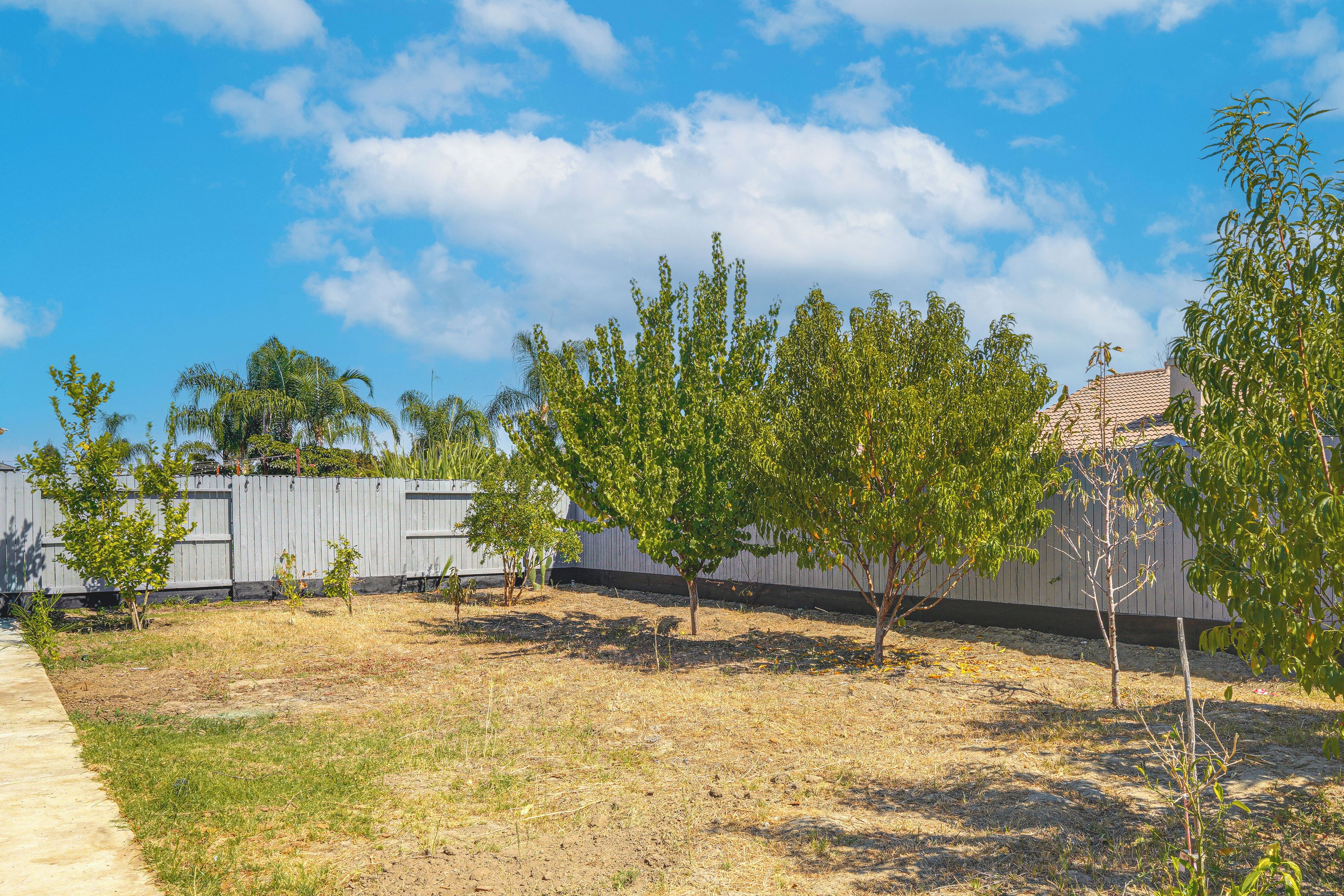 A fenced yard with young trees, a concrete path, and a building with a tiled roof.