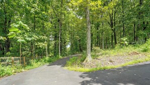 A paved path in a wooded area with dense foliage on both sides. - Mountain Top Lodge With Amazing Vista (Jasper)