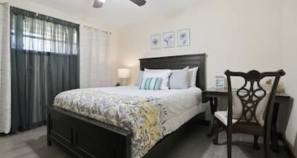 Mid Century Mondern New Orleans Charm 3 Bedroom Home