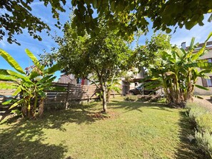 A residential garden with a wooden fence, a tree, and a parked car. - Charming apartment in Luxeuil-les-Bains (Luxeuil-les-Bains)