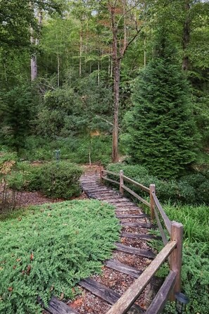 A wooden pathway in a forested area with dense greenery and trees. - Mountain Thyme-Ideal location: close, with privacy, forest stream & waterfall (Saluda)
