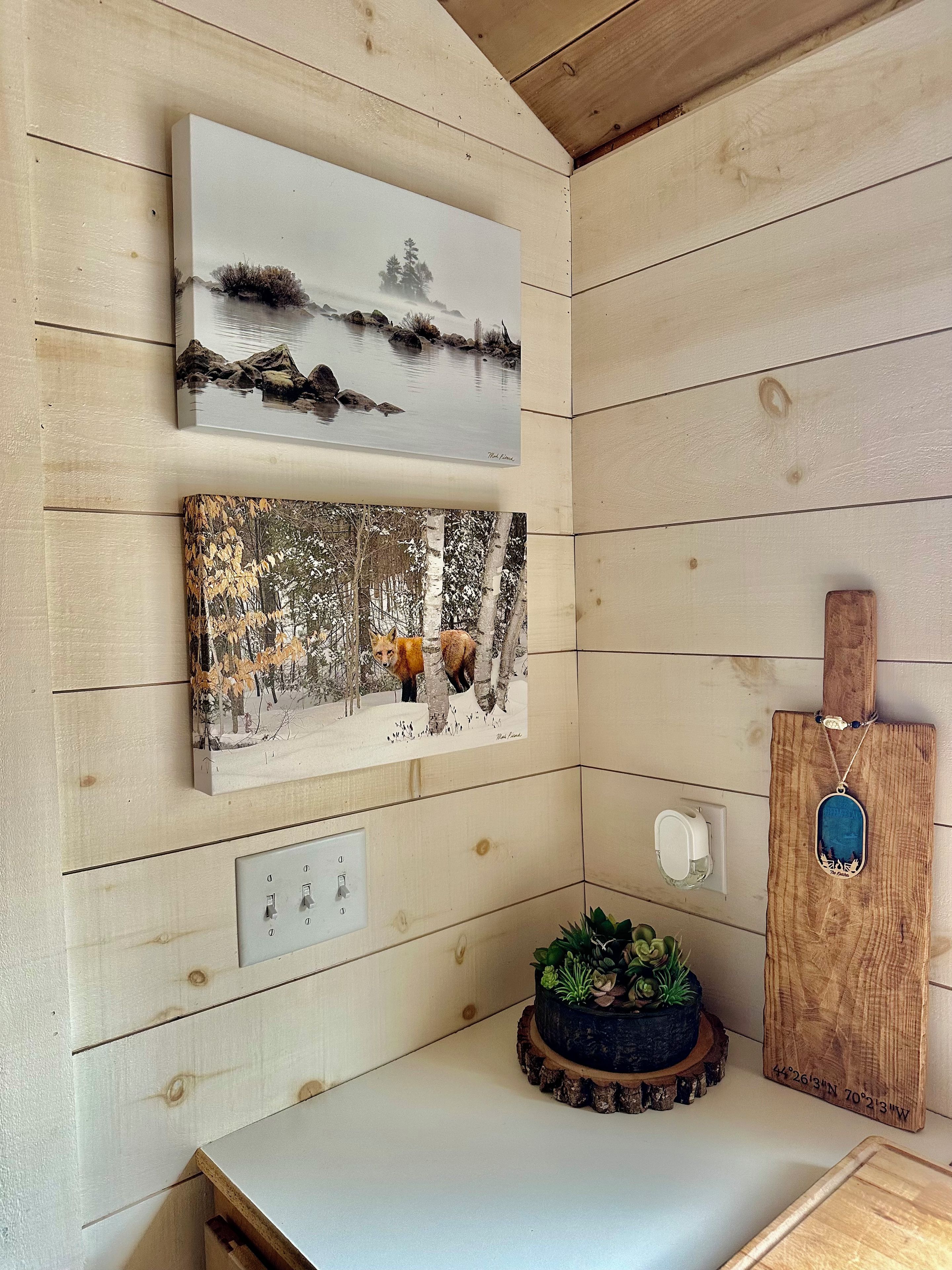 Pared de madera con dos cuadros enmarcados, una pequeña planta en maceta y una placa de madera con un colgante.