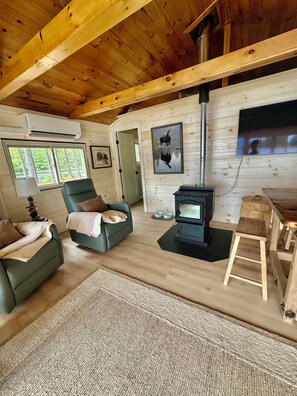 A cozy cabin interior with a fireplace, a green sofa, and a television. - Private Island Cottage on Ebeemee Lake (Brownville)