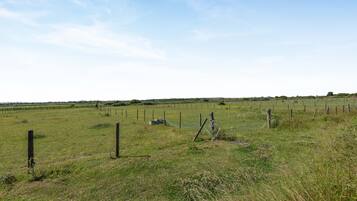 A rural landscape with a fenced field, a small structure, and a clear sky.
