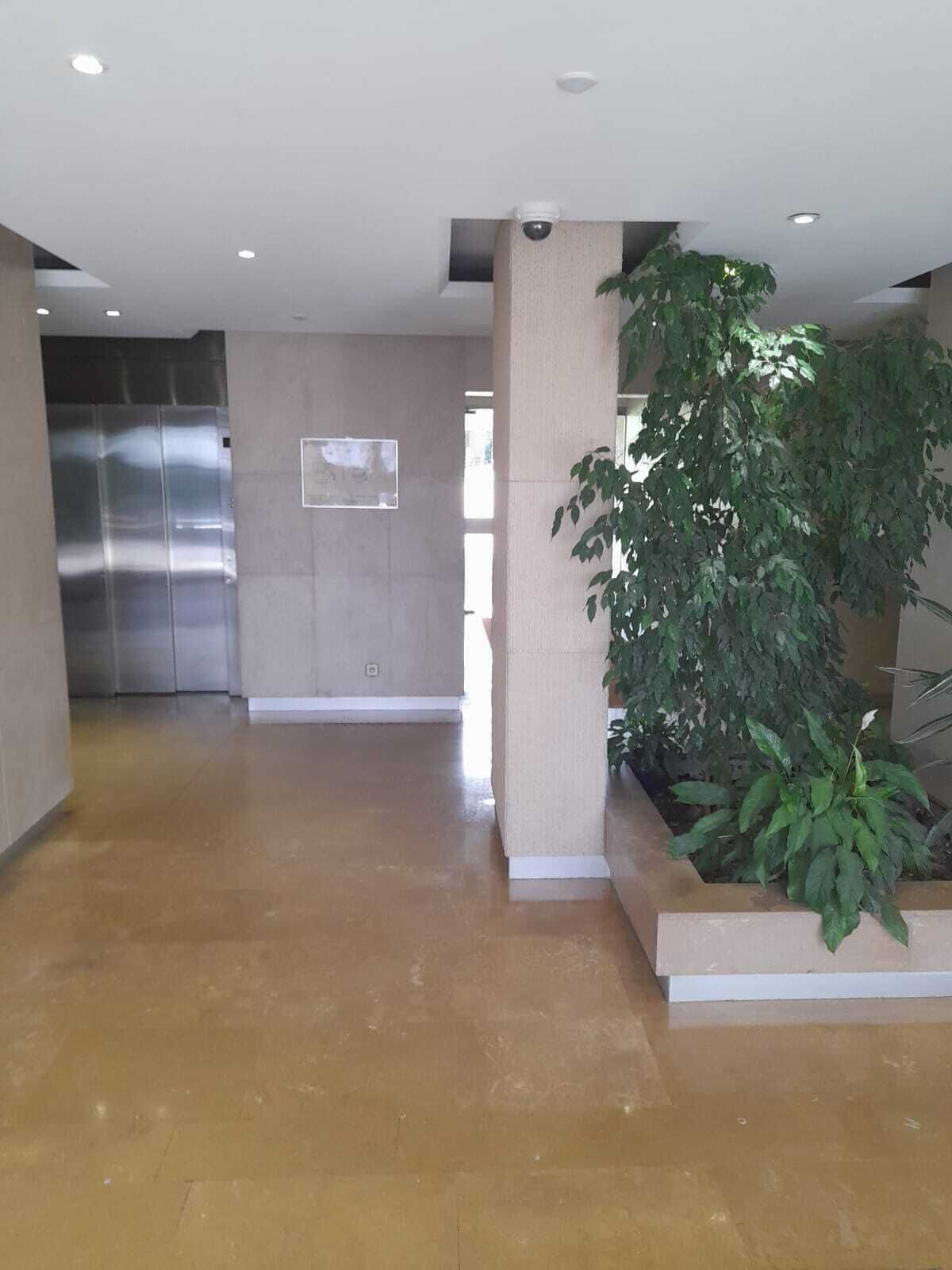A spacious lobby with a large plant, a security camera, and a metallic elevator.