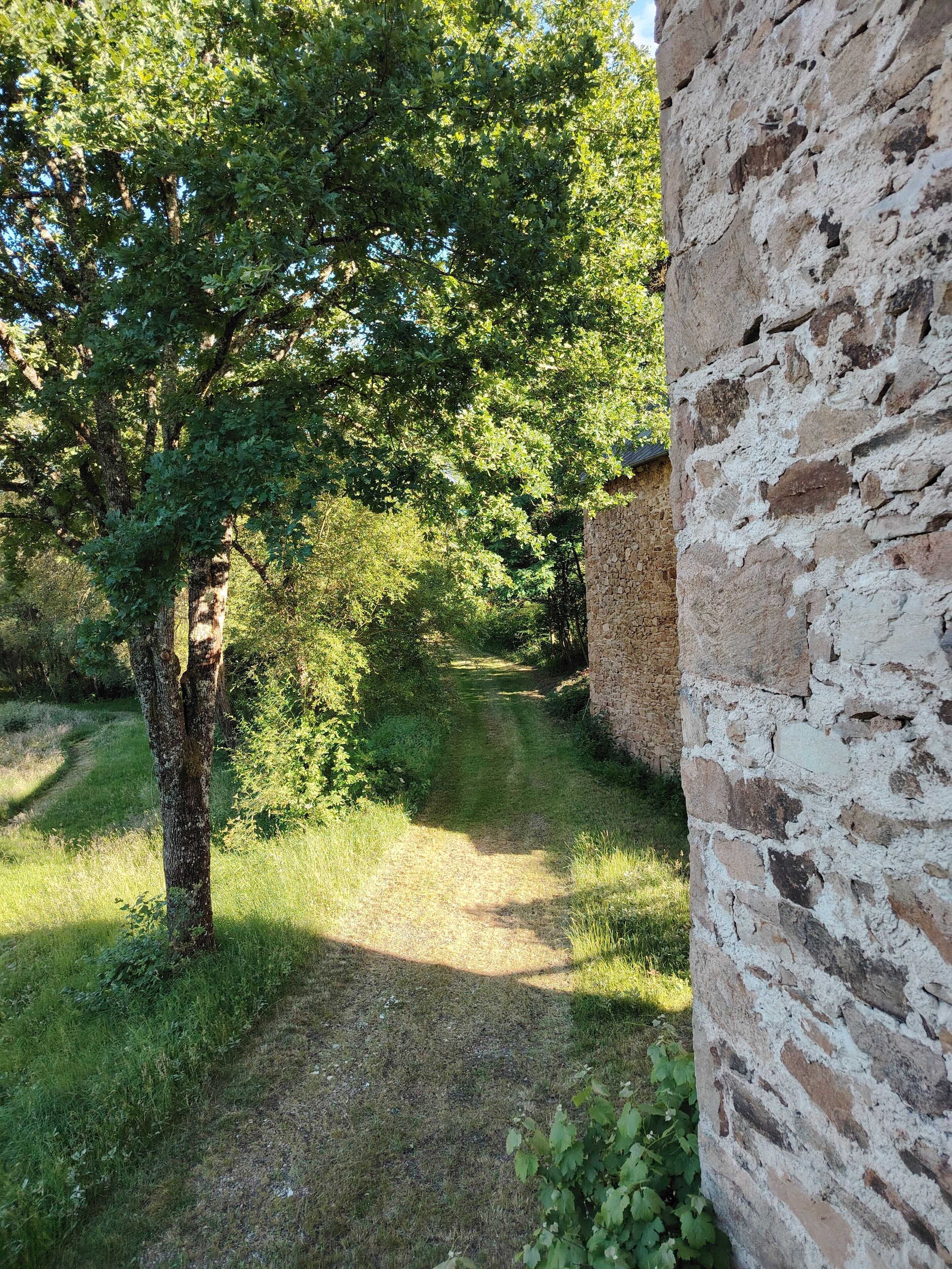A stone wall adjacent to a grassy path with trees.
