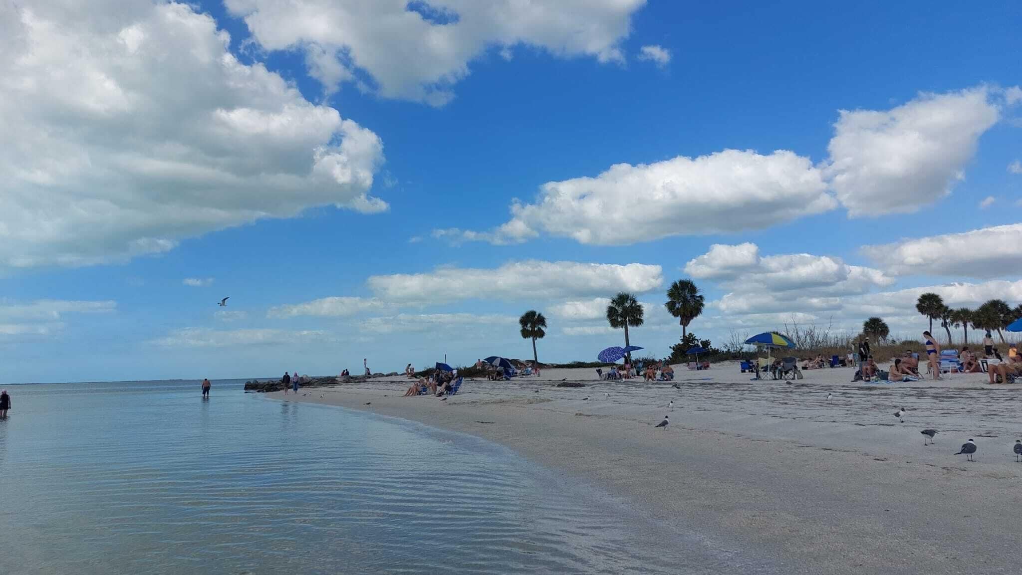 Playa