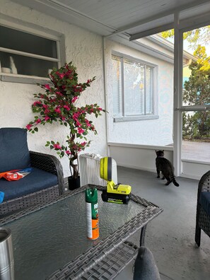 A room with a glass table, a potted plant, a chair, and a cat. - Beautifull updated modern single 2-bedroom single home close to beaches & shops (Holiday)