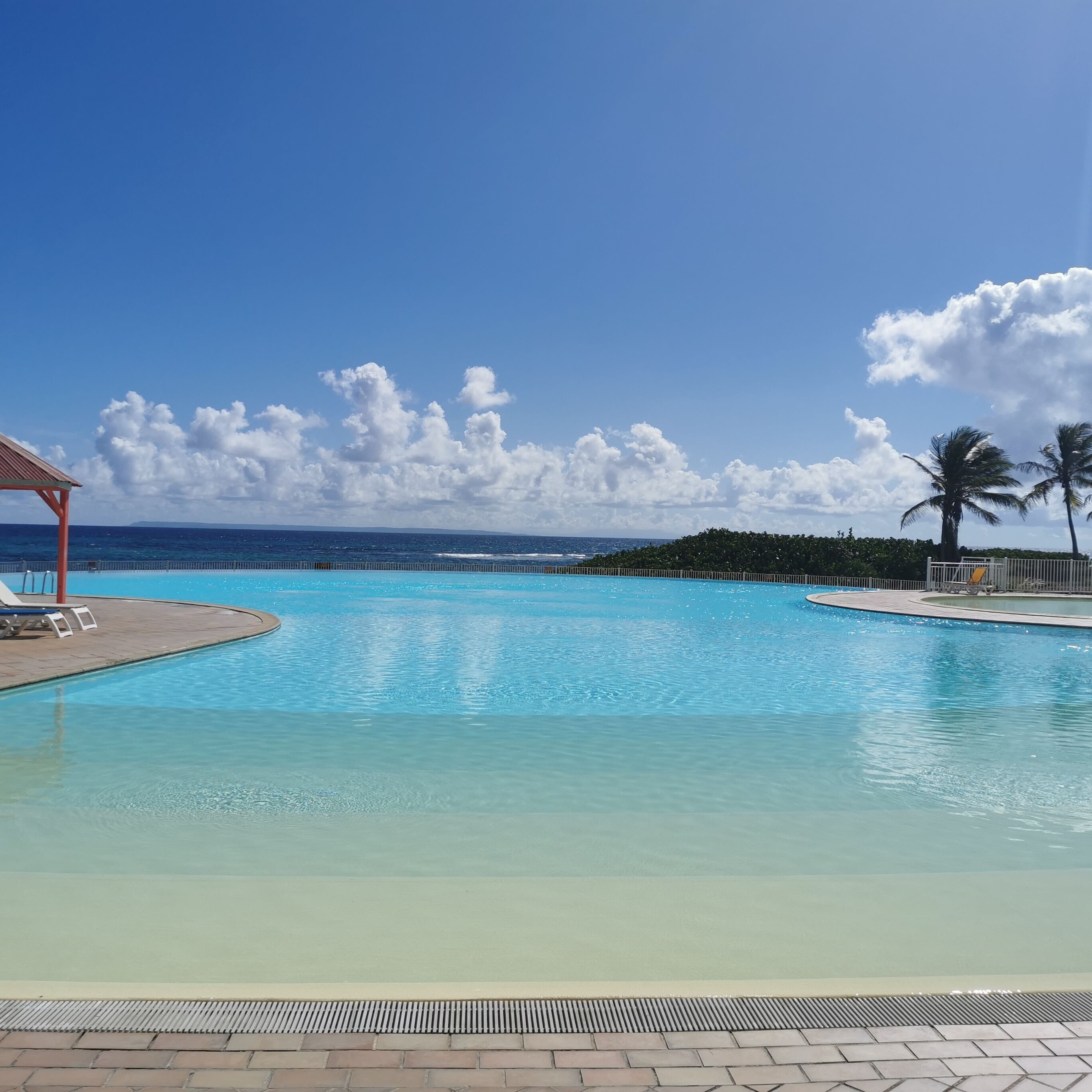 A clear blue pool with a view of the ocean and palm trees.