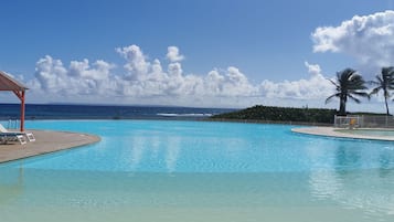 A clear blue pool with a view of the ocean and palm trees.