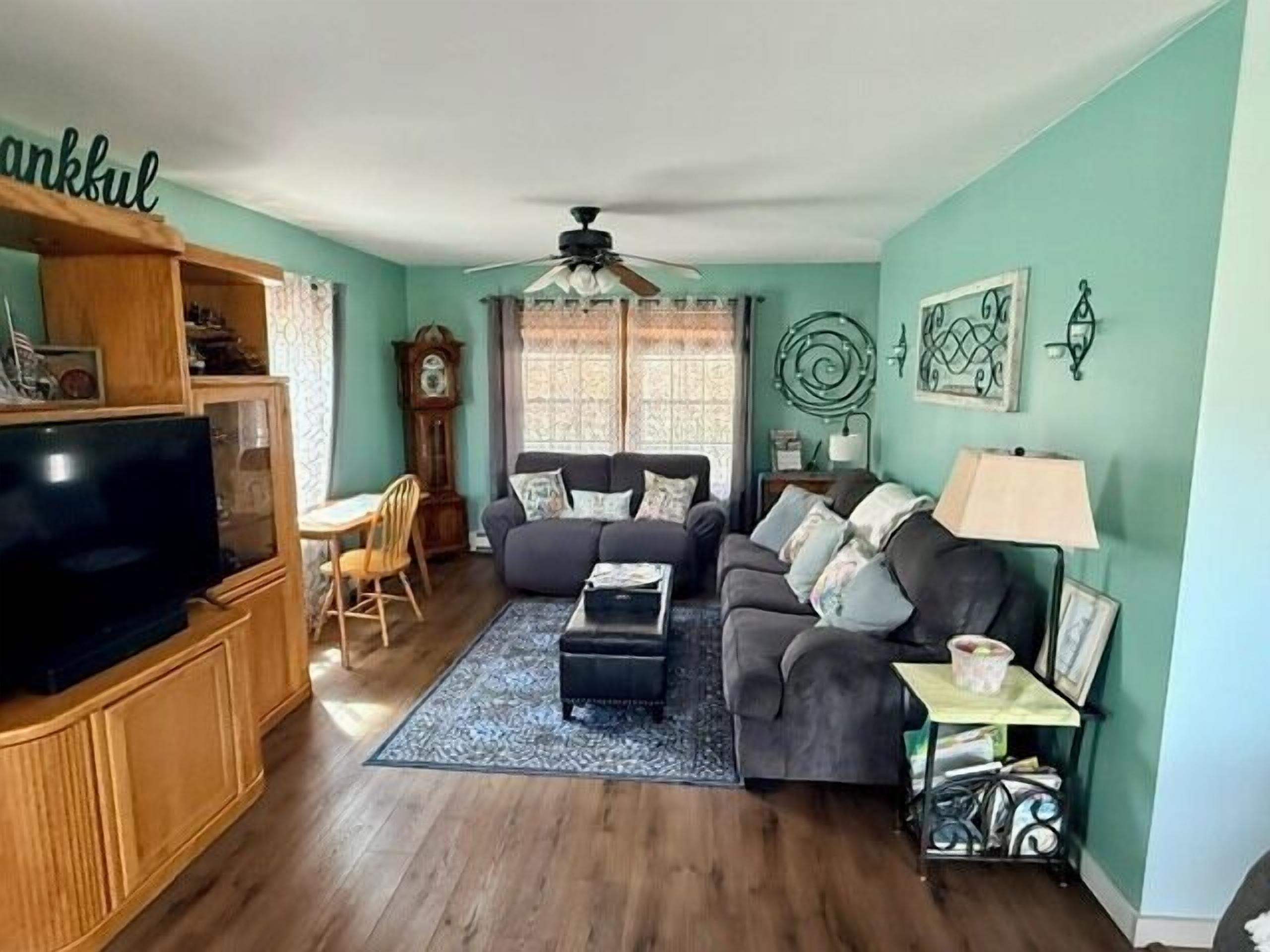 TV, fireplace, books, stereo