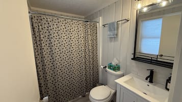 Hair dryer, towels, soap, toilet paper
