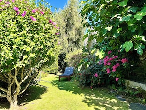 A garden with a lawn, a bench, and various trees and shrubs. - MAISON BARFLEUR Historic cottage by the sea between the harbor and the beach. (Barfleur)