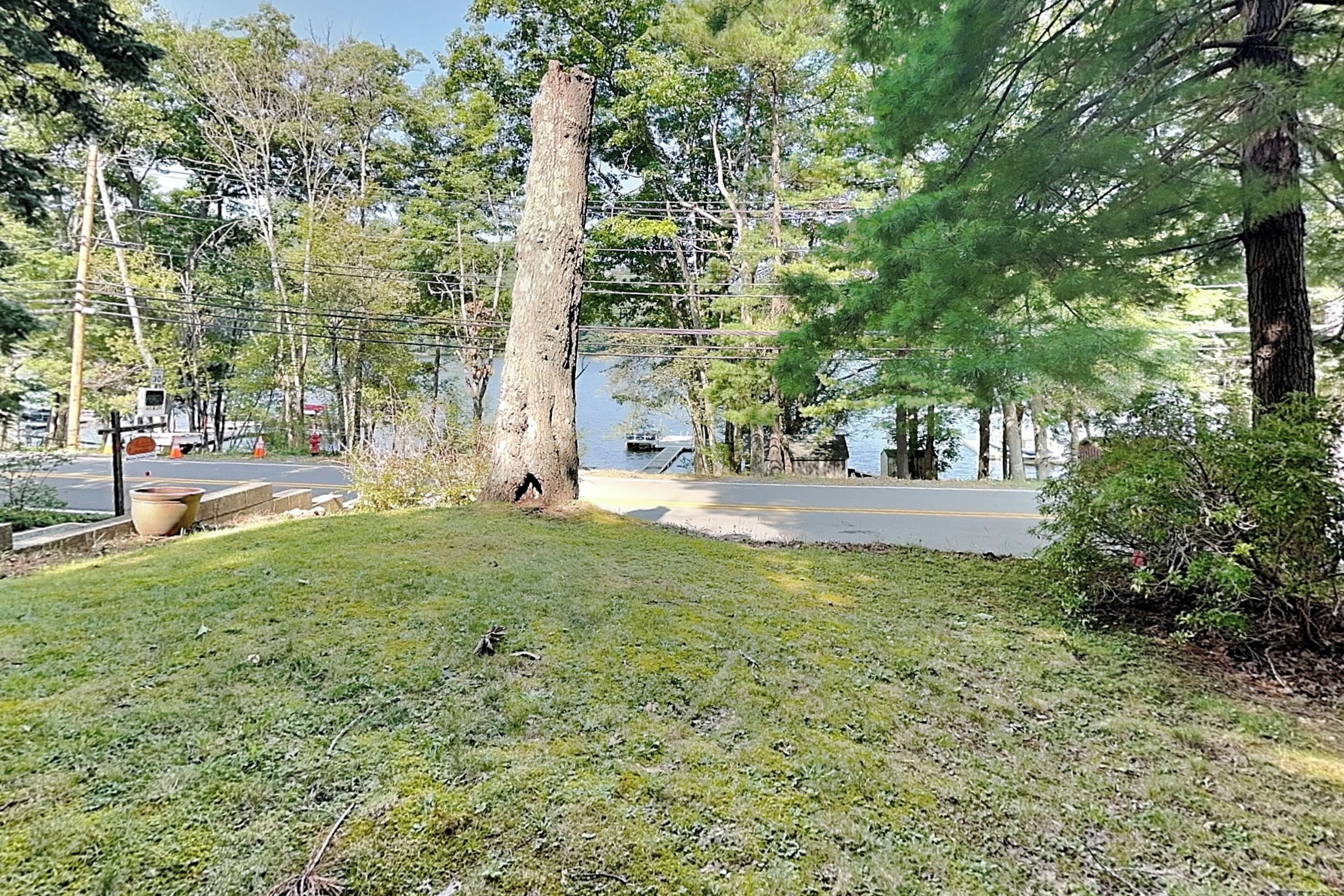 A grassy area with a tree, a road, and a body of water in the background.