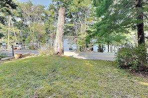 A grassy area with a tree, a road, and a body of water in the background.