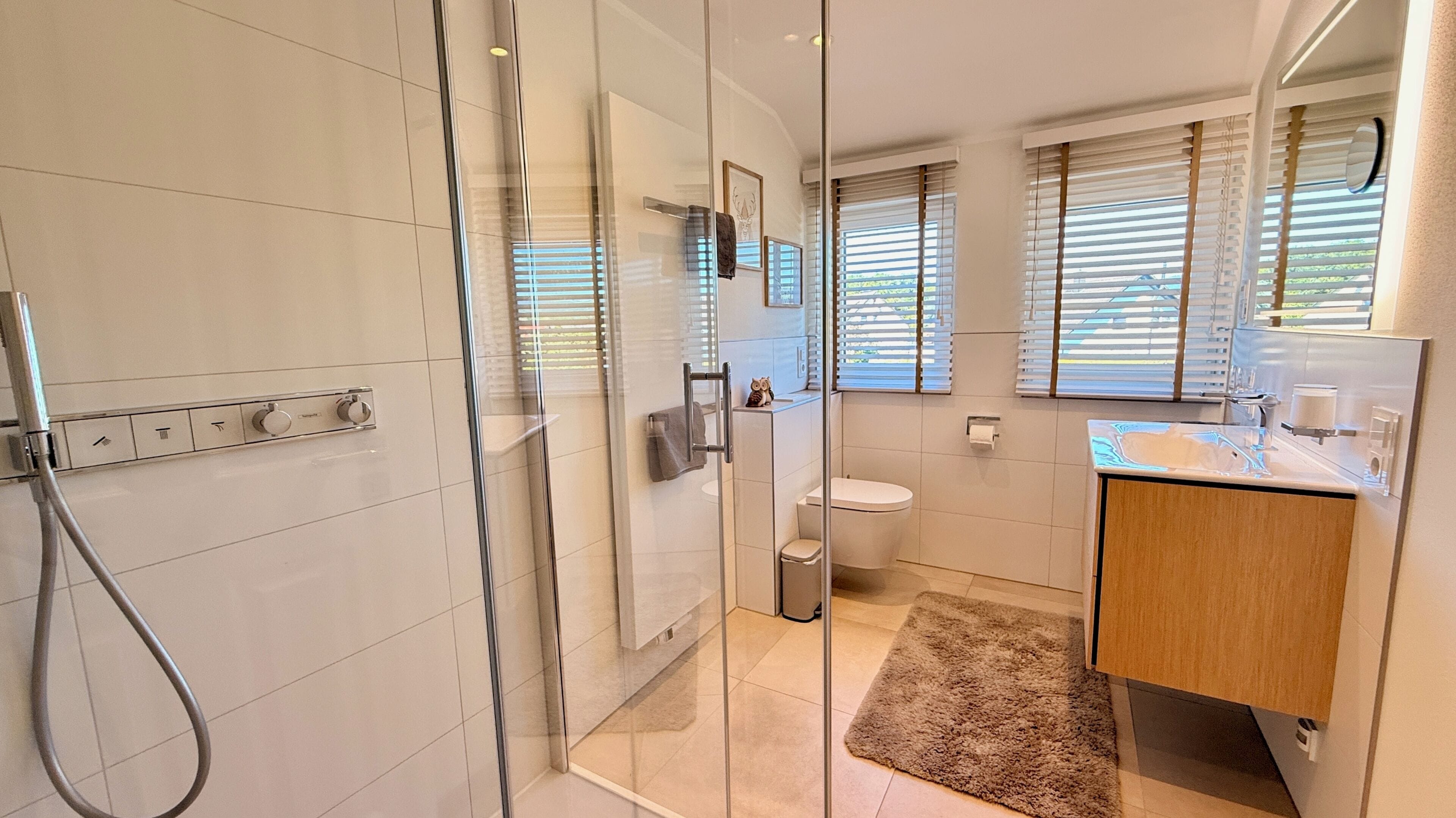 A modern bathroom with a glass shower enclosure, a toilet, and a sink with a mirror above it.