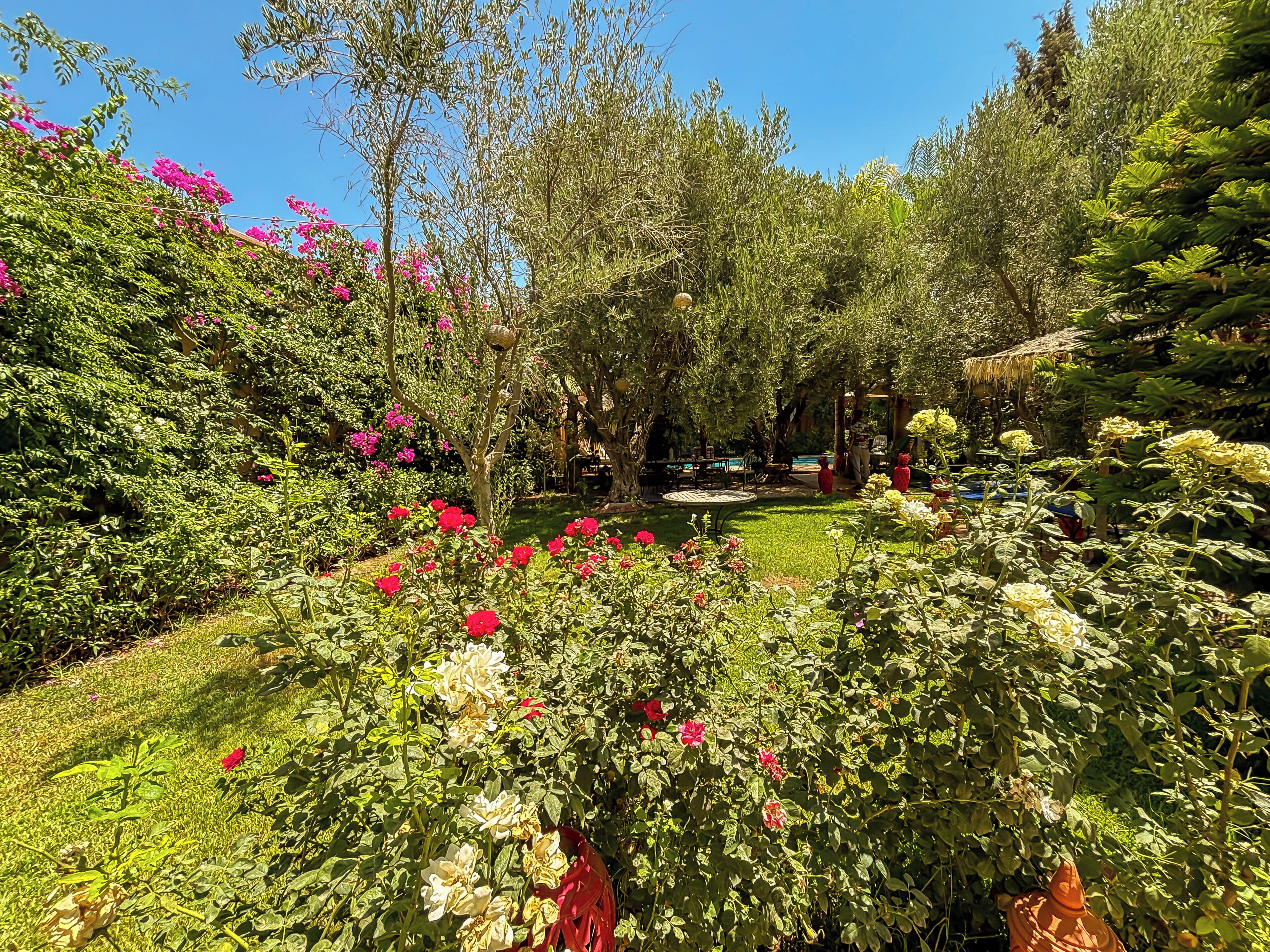 Un jardin agrémenté de diverses plantes et fleurs, une piscine et un espace salon extérieur.