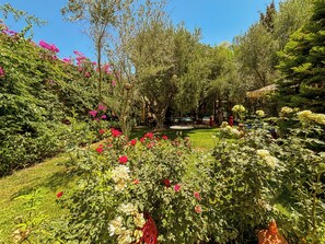 Un jardín con diversas plantas y flores, una piscina y mobiliario de exterior.