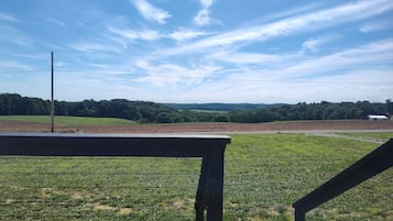 A rural landscape with a fence, a road, and a distant white building.