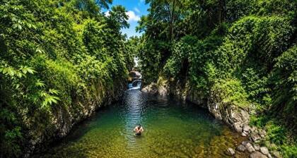 Knuckles Trek Homestay