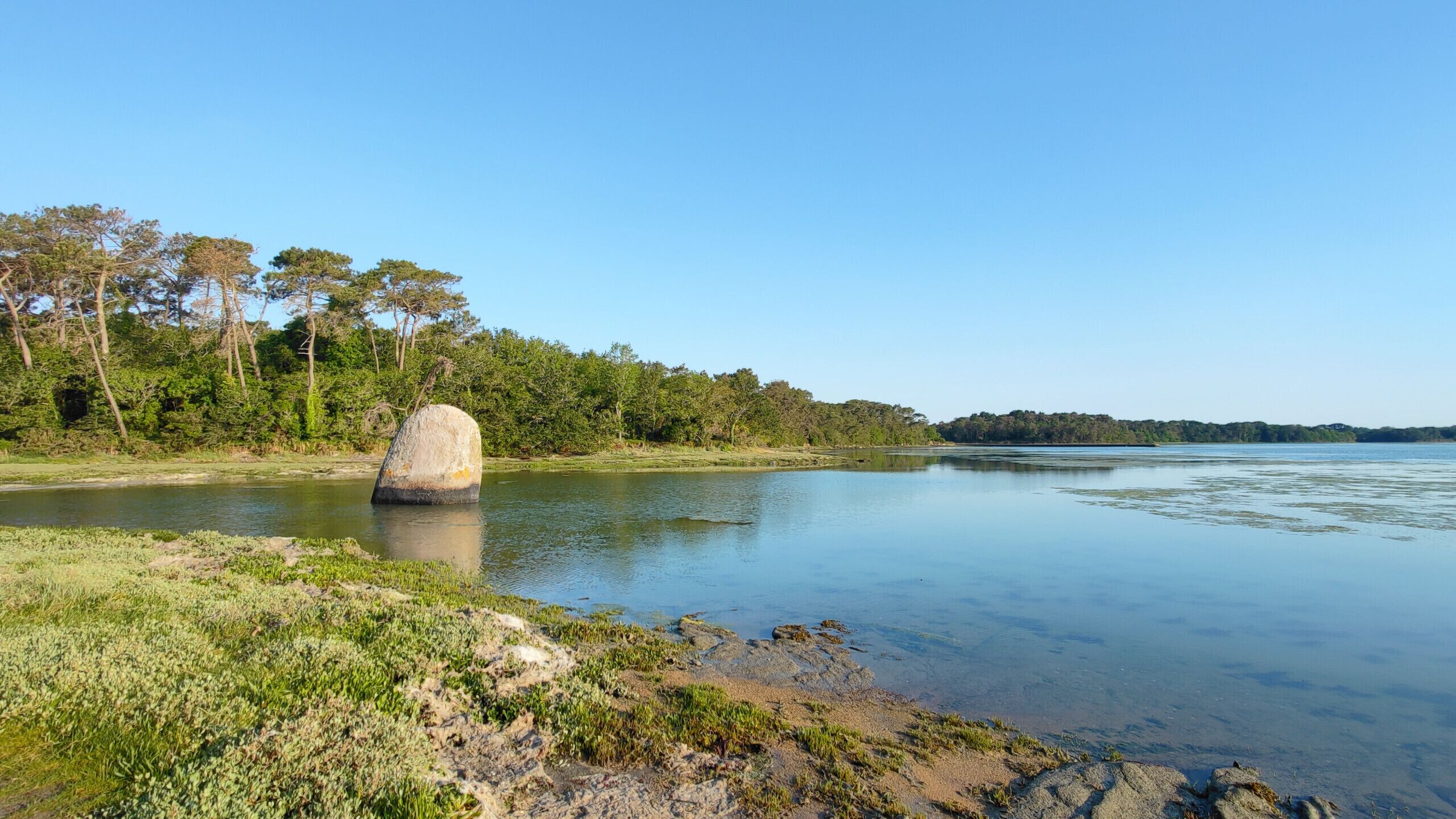 A calm lake with a large rock in the center, surrounded by greenery and trees.