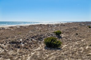 A coastal landscape with dunes, sparse vegetation, and a beach in the background. - 3BR Direct Ocean Front Condo @ The Point! Point Emerald Villas A209 (Emerald Isle)