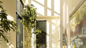 Un intérieur moderne avec un sol à carreaux, une grande plante en pot, une vitrine et un tableau abstrait encadré.