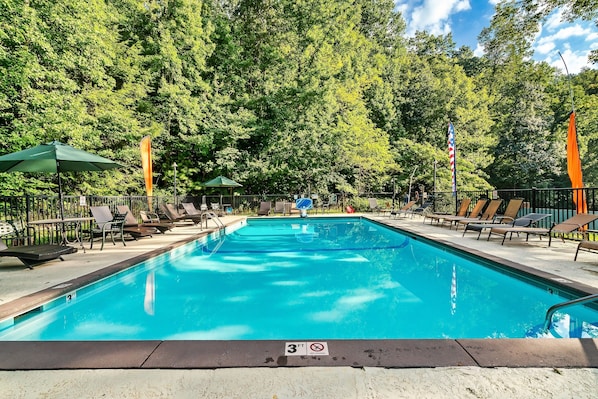 A swimming pool with lounge chairs and umbrellas, surrounded by trees.