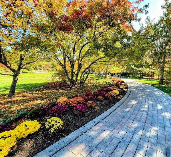 Un camino pavimentado en un parque con árboles y coloridos parterres de flores.