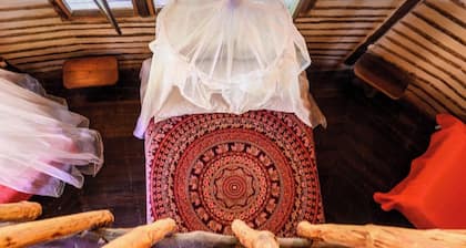 Eco-friendly structure, inspired by a Yarumo leaf, ideal for couples, families, or small groups of up to five guests. Surrounded by tropical nature. Enjoy breakfast, a natural pool, forest trails, birdlife, and peaceful cabins designes.