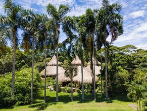 Property grounds - Eco-friendly structure, inspired by a Yarumo leaf, ideal for couples or friends. Surrounded by tropical nature, lakes, forest trails, birdlife, and peaceful vibes. (Restrepo)