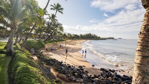 A beach with palm trees, a sandy shore, and a clear sky. - Beachfront 4BR, 2 Condos for 12 in Kihei! (Kihei)