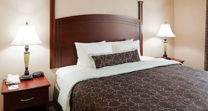 Studio Suite w/ Full Kitchen | Breakfast Included