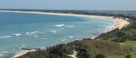 A coastal landscape with a beach, ocean, and dense forest.