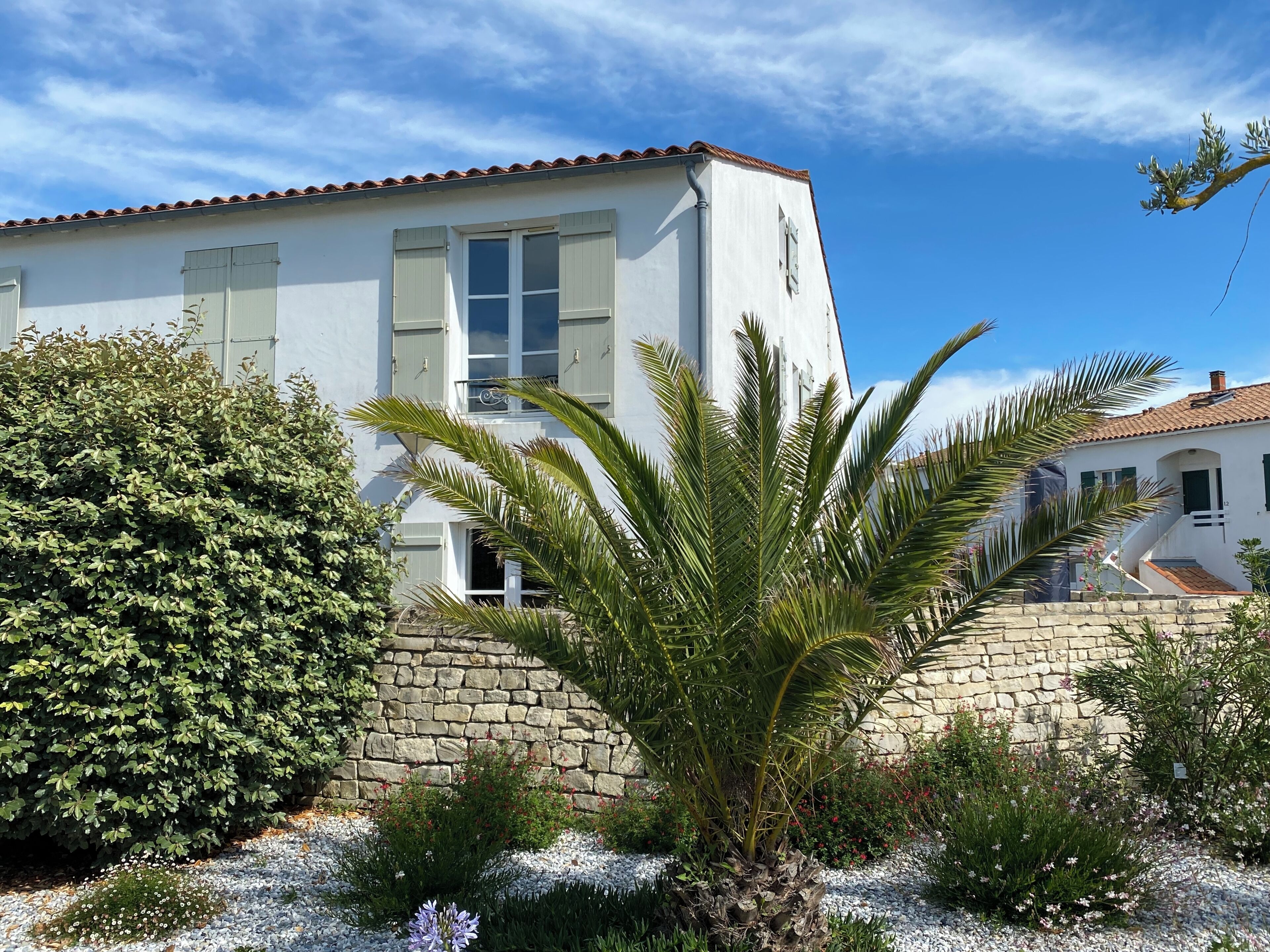 A white building with a stone wall and a palm tree in the foreground.