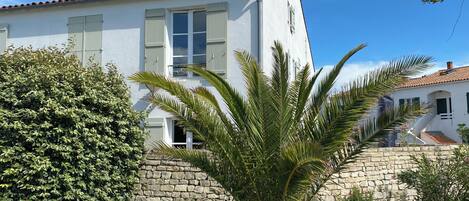 A white building with a stone wall and a palm tree in the foreground.