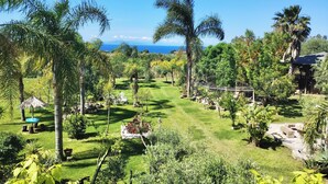 Property grounds - Residence with swimming pool in Capo Vaticano (Santa Maria)