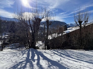 Schneebedeckte Landschaft mit kahlen Bäumen und Bergen im Hintergrund.