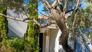 A tree with a swing hanging from its branches, a door leading to a building, and a small garden area with various plants. - Villa Les Issambres avec Piscine,10 Pers (Roquebrune-sur-Argens)