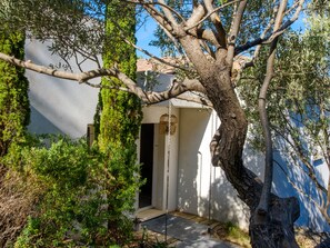 Ein Baum mit einer Schaukel in den Ästen, eine Tür, die zu einem Gebäude führt, und ein kleiner Garten mit verschiedenen Pflanzen.
