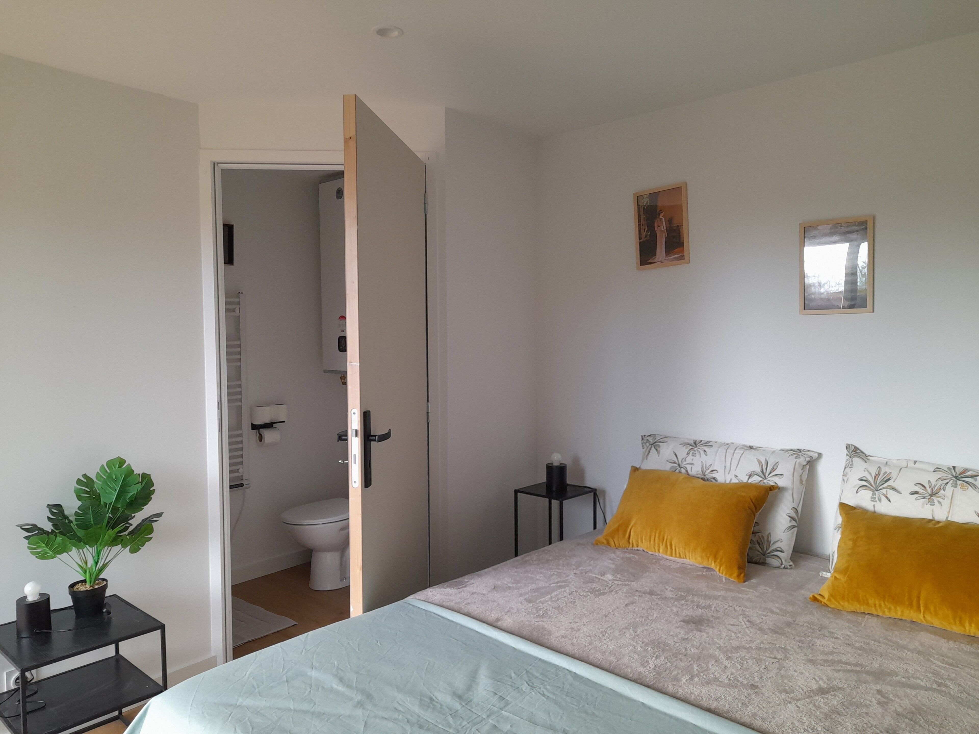 Une chambre à coucher comprenant un lit, une table de chevet, une plante en pot, des toilettes et une porte donnant sur une salle de bain.